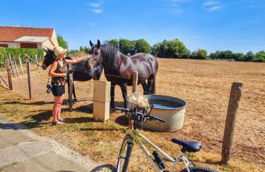 Manoir du Bois Joly - Gîte du Fournil - Foto 53
