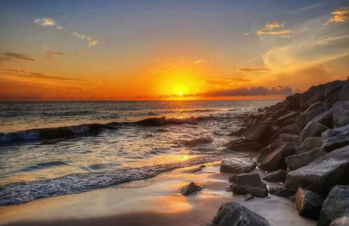 Tortuga Tillys - Foto 38