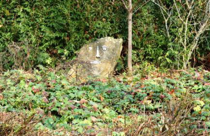 Ferienwohnung Schwalbennest - Foto 64
