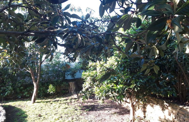 Arr Bida Sea Country Side Villa - Foto 27