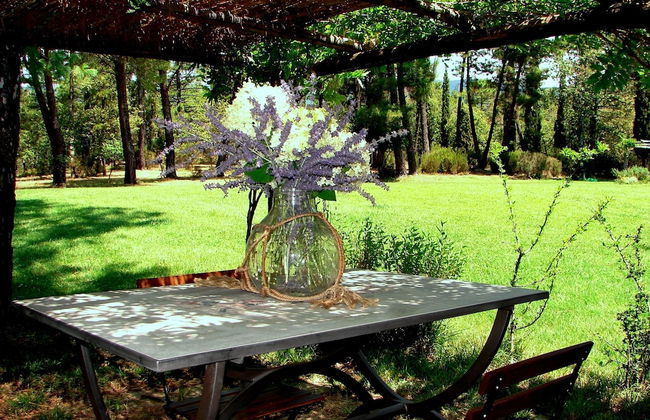 Poggio Corsucci - Foto 49