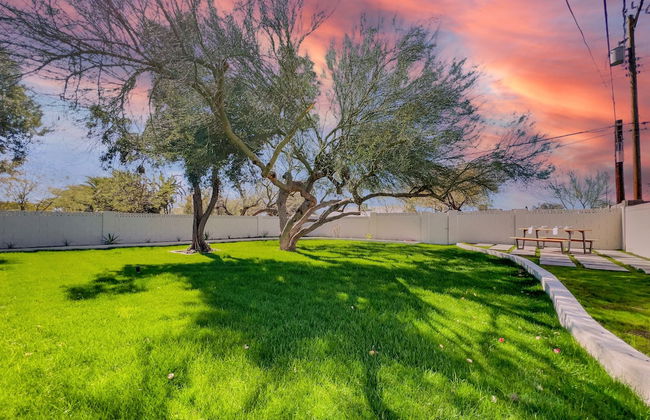 20th Phoenix - Foto 33