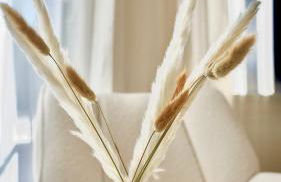 Modern & Zentral - Nähe Düsseldorf & Köln - Foto 11