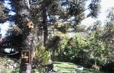 Casa das Palmeiras + Quiosque - Foto 49