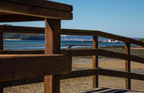 Casa Mavimar Playa - Foto 21