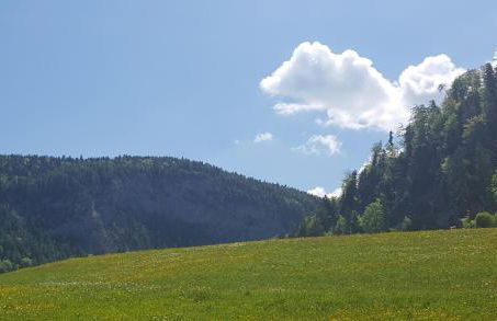 Ferienwohnung Lohnerlehen - Foto 13