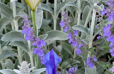 Elegant Townhouse, Hudson center, 3 ensuite baths - Foto 34