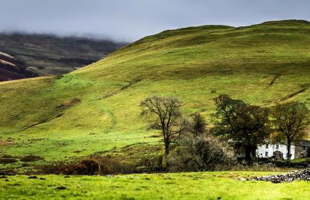 The Green Hayloft, Lakes & Dales - Photo 22