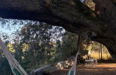 Casa Olea - Photo 49