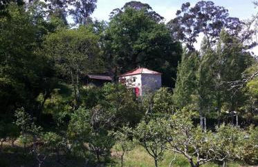 Eira das Carvalhas - Foto 14