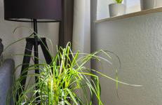 City Nowa 1 - Foto 19