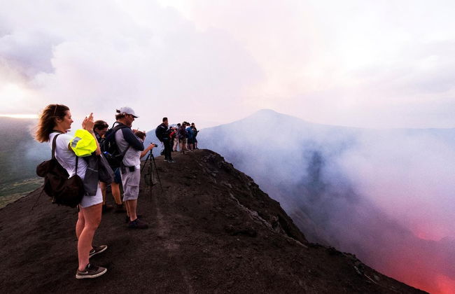 Castle Tree House - Photo 10