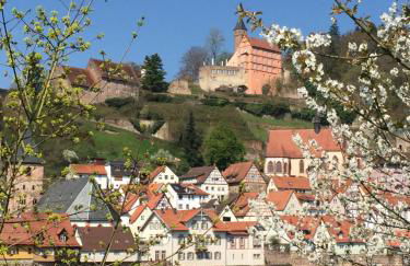 Romantisches Hirschhorn am Neckar - Photo 15
