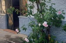 El Mesón de Higuera de la Sierra - Foto 8