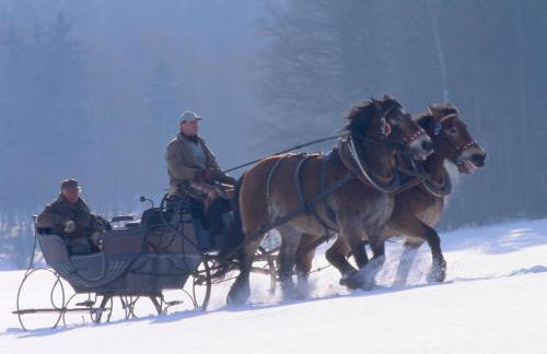 Ferienhaus Nadine 2023 komplett saniert - Foto 33