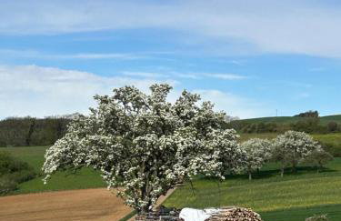 HegauZeit-moderne Ferienwohnung - Foto 19