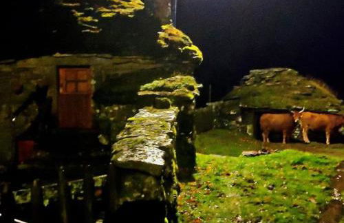 Cardenha das Formiguinhas - Foto 32