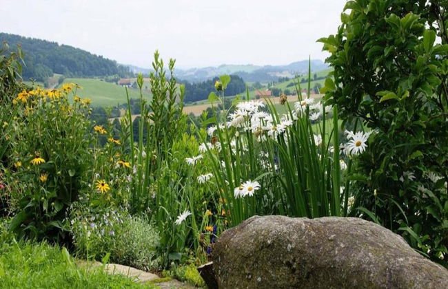 Welcoming Chalet Near Forest in Rohrnbach - Foto 57