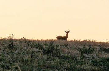 Villa Tiberini Wine Relais - Foto 20