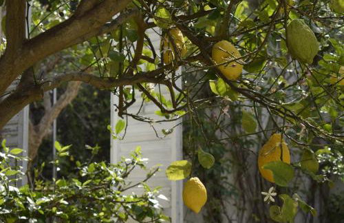 Villa Aurea - Foto 24