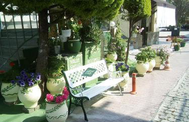 House Stella Tasos - Foto 40