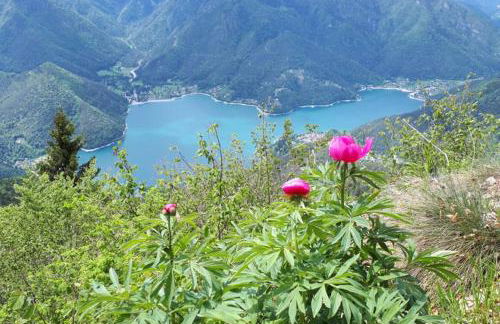 La mansarda di Rossella - Photo 29