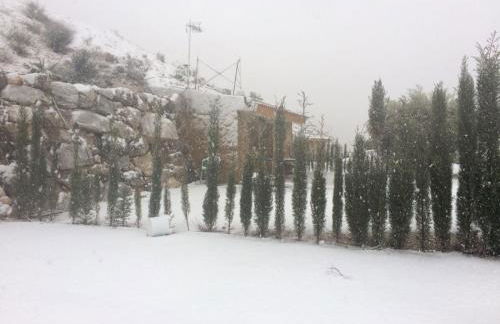 Casas y Cuevas El Solins - Foto 73