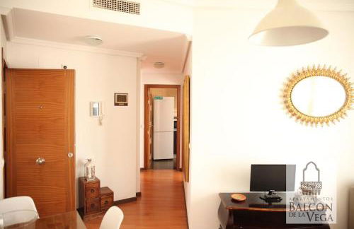 Apartamentos Balcón de la Vega - Foto 14