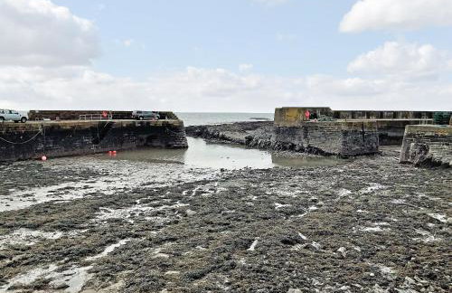 Harbour View - Photo 10