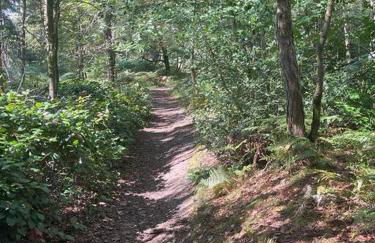 Rural Retreat near Dorking - Foto 35