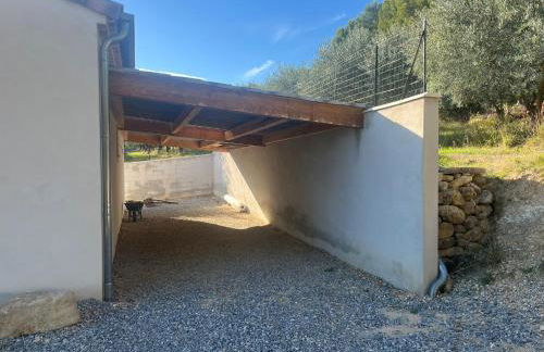 Les oliviers - Foto 26