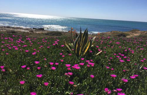 Seafront Dream Apartment - Foto 43