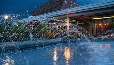 The Million Dollar Perch - Foto 5