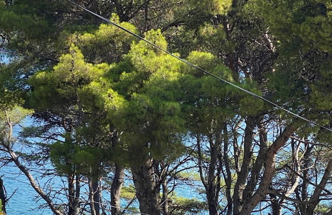 Dari - 120 m From sea - A1 - Foto 9