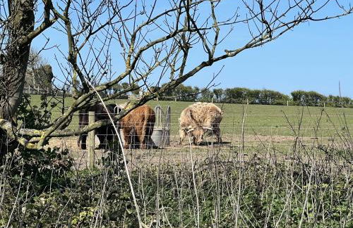 4 bed house 50 yards from the beach & lighthouse - Photo 30