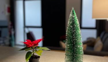 Junto al Jardín del Turia Apartamento - Foto 2