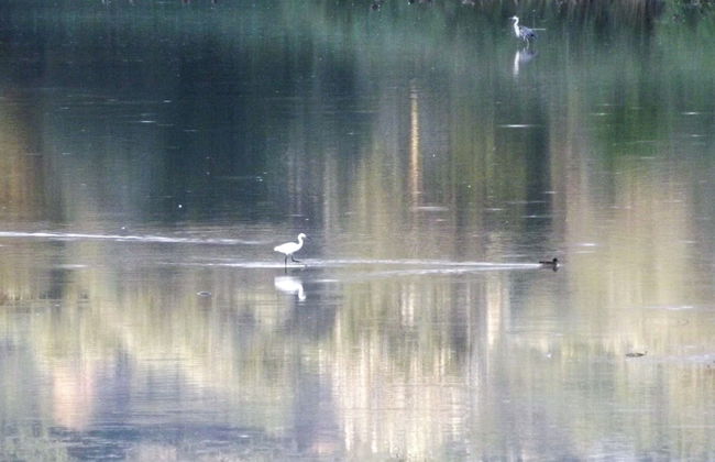 Tenuta i Lecci di Gurian Roberta Maura - Photo 76