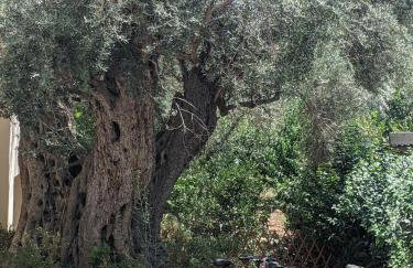 Luxury Villa in Nature - Akrata Village - Foto 39