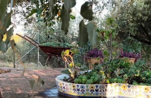 Los Tréboles - Foto 9