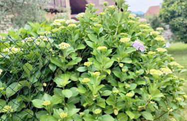 La casika del Cerro - Foto 24