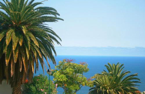 PARAISO TRANQUILIDAD VISTAS MAR y TEIDE - Foto 4