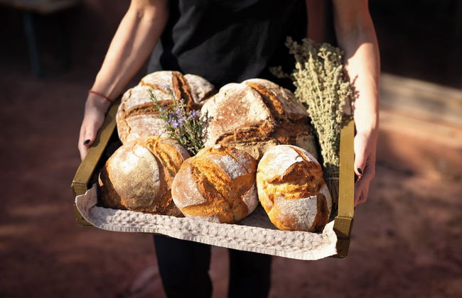 eumelia organic agrotourism farm - Photo 40