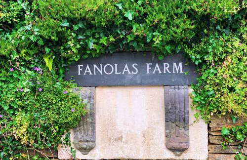 Field View - Foto 21