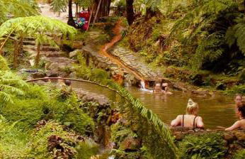 Beach & Surf - Photo 22