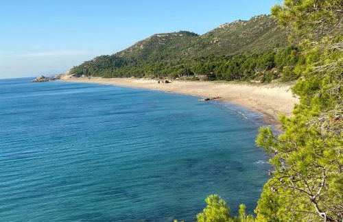 La Mandioca - Foto 21