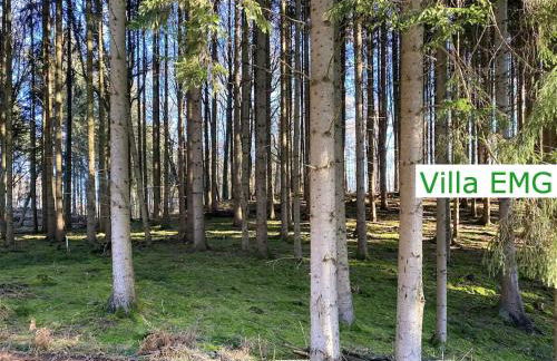 Villa EMG Ferienhaus in Alleinlage mit Privatsee Jacuzzi und Sauna für bis zu 22 Personen bei Osnabrück - Foto 76