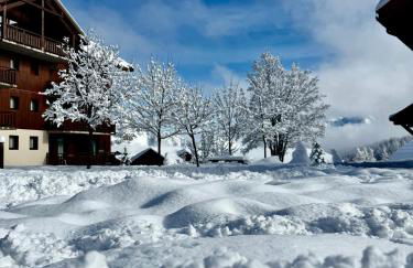 Puy St Vincent 1800 au pied des pistes - Foto 38
