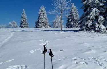 Ferienwohnung Zum Heideblick - Photo 27