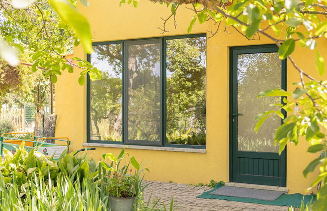 Casa das Palmeiras - Pedagogic Farm - Foto 137