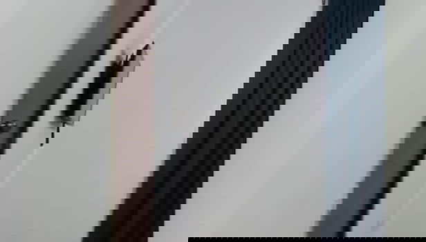 Servicio de la habitación